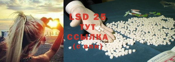 PSILOCYBIN Белокуриха